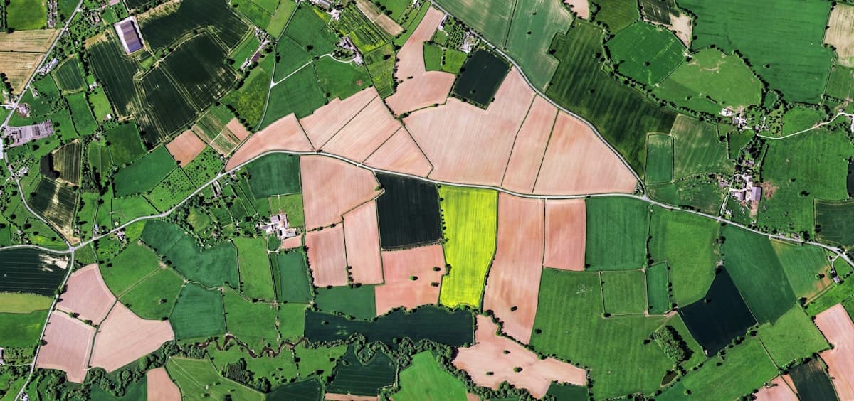 Aerial view of farmland divided into cultivated parcels